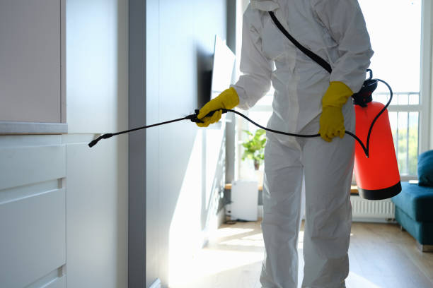 Trusted Waldron, AR Mold Remediation Experts